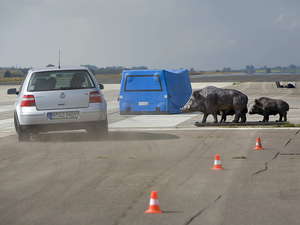 Crash Test 04 300x225