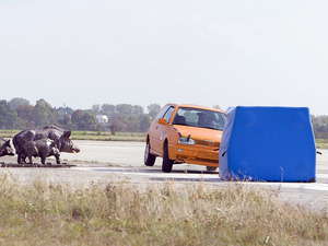 Crash Test 05 300x225