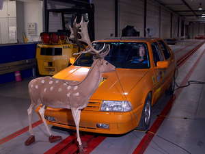 Crash Test 06 300x225