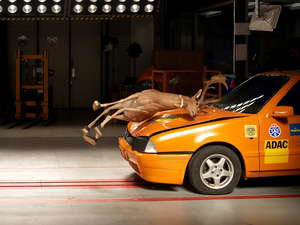 Crash Test 07 300x225