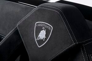 Lamborghini Gallardo Lp 570 4 Spyder Performante 02 300x199