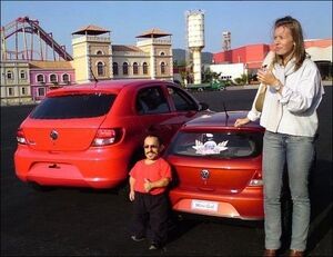 Vw Mini Gol 4 300x231