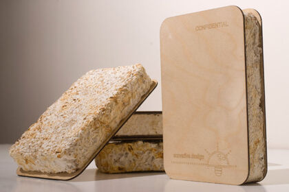 Ford utilizará hongos para fabricar sus coches