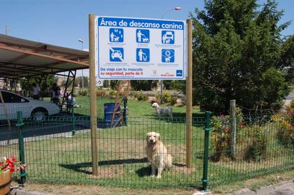 Un área de descanso para mascotas