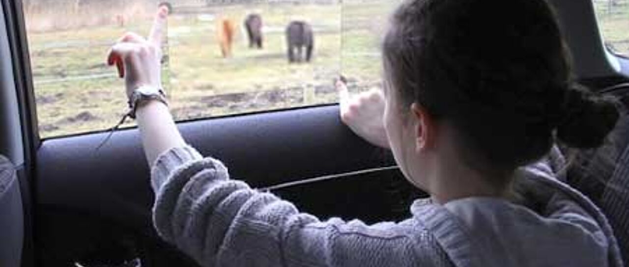 Todas las noticias de coches en un solo portal: Pruebas, fotos, vídeos, informes...