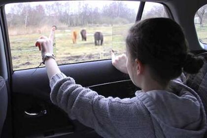 Realidad aumentada en el coche