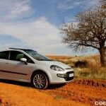 Fiat Punto Evo 135 CV 5049 150x150
