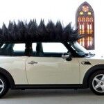 Olaf Mooij Coche Pelo 5 150x150