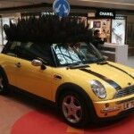 Rasta Mini Art Car 150x150