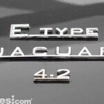 Exposicion Jaguar 34 150x150