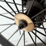 La Marquise 08 150x150