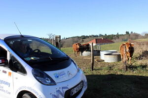 "El navegador dice que por aquí está el punto de recarga eléctrica..."