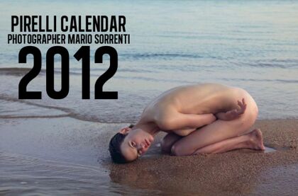 Calendarios 2012: Las bellas y las bestias