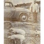 Harold Bate Prensa PáGina 2 150x150