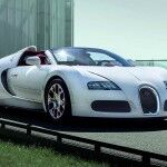 El AñO Del Dragon 16 150x150