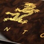 El AñO Del Dragon 23 150x150