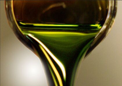 Algas, el petróleo que llega del mar