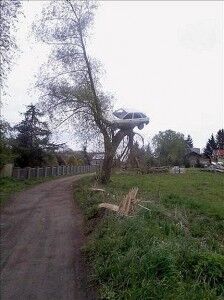 coche-arbol-polonia-2 Coche Arbol Polonia 2 224x300