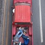 12 Alejandro Cartagena Carpoolers 150x150