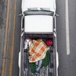 15 Alejandro Cartagena Carpoolers 150x150