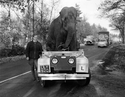 Kam el elefante y su Land Rover