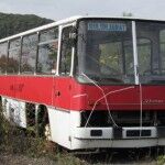 Bus Estudio 5 150x150