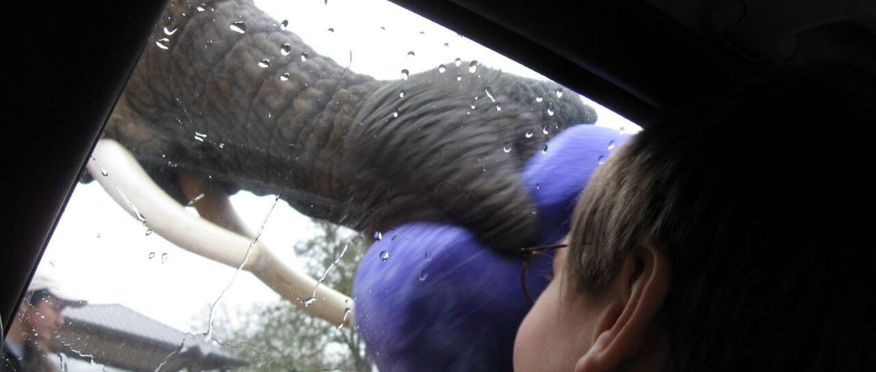 Todas las noticias de coches en un solo portal: Pruebas, fotos, vídeos, informes...