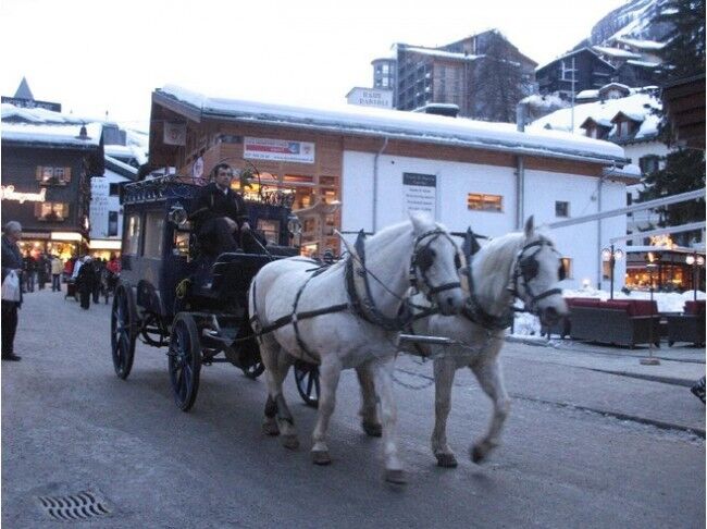caballosbuses_zermatt Caballosbuses Zermatt 650x486