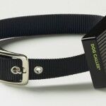 Dogwearingcallercollar 3 150x150