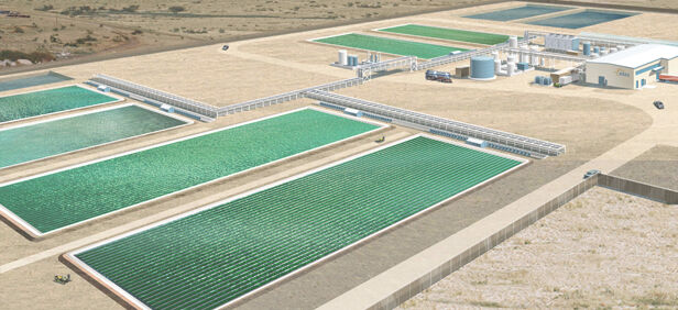 audi_biocombustibles Audi Biocombustibles