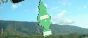 Ambientador Pino Coche 300x129