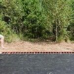 Carretera Trampolin 8 150x150