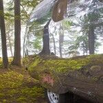 Bowlus Road Chief 56 150x150