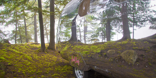 Bowlus Road Chief 56 650x325