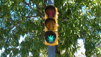 ¿Qué tal conducen los fumadores de marihuana?