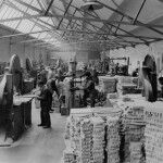 MINI Plant Oxford 12 150x150