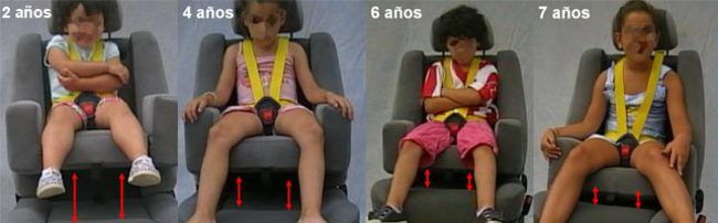 Silla Evolucion 650x202