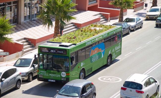 bus cubierta vegetal