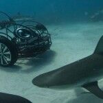 Volkswagen Beetle Jaula Antitiburones 1 150x150