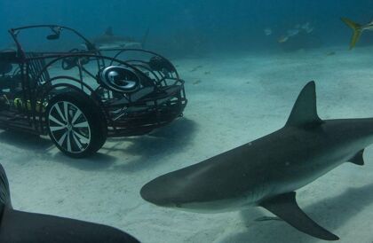 El Volkswagen Beetle Cabrio nada entre tiburones