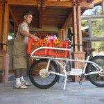 Cargo Bike 7 150x150