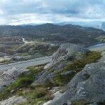 Jaguar C X17 Concept 2013 16 150x150