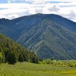 Rancho McQueen 3 150x150