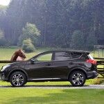 Toyota RAV4 2014 10 150x150