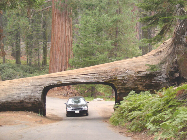 Túnel Log, California