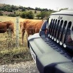 Jeep Wrangler Moab 32 150x150