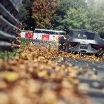 Felino CB7 2014 05 150x150