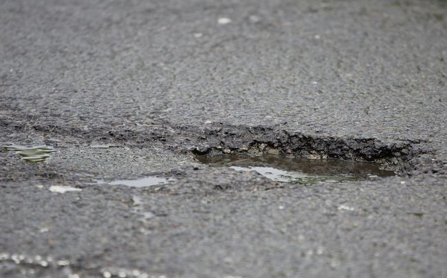 bache