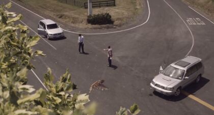 El escalofriante anuncio neozelandés sobre la percepción de la velocidad