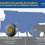 Neumatico Gigante Goodyear 63 Pulgadas 5 150x150